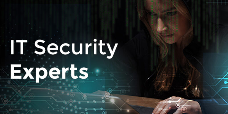 IT-Security-Experts of hex64